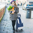 Skládací nákupní vozík se 6 koly na schody, kovová konstrukce, odnímatelný omyvatelný potah, nosnost 25 kg